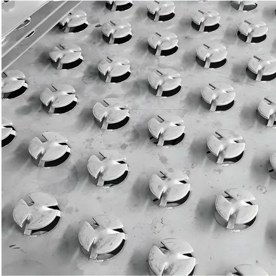 SS304 SS316L Fixed Valve Tray/Customizable Fixed Valve Tray/Tower Internals